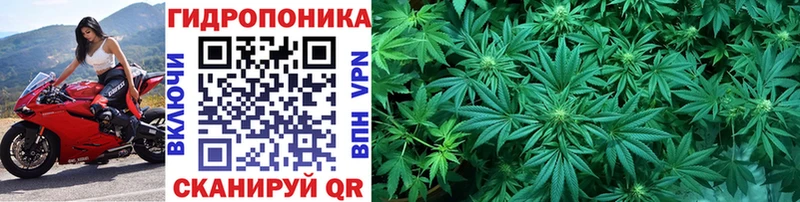 Купить наркотик аптеки Киренск A-PVP  Вейп ТГК  МЕФ 