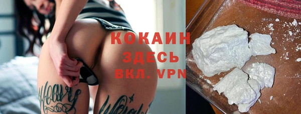 герыч Мегион