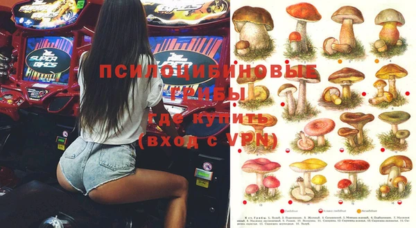 мяу мяу мука Алексин