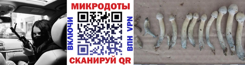 Галлюциногенные грибы Cubensis  Киренск 